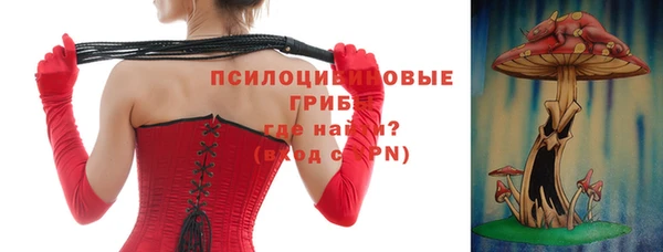 дмт Лиски
