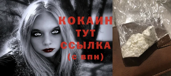 дмт Лиски