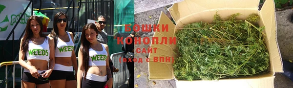 амф Бердск