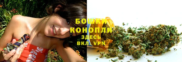 дмт Лиски